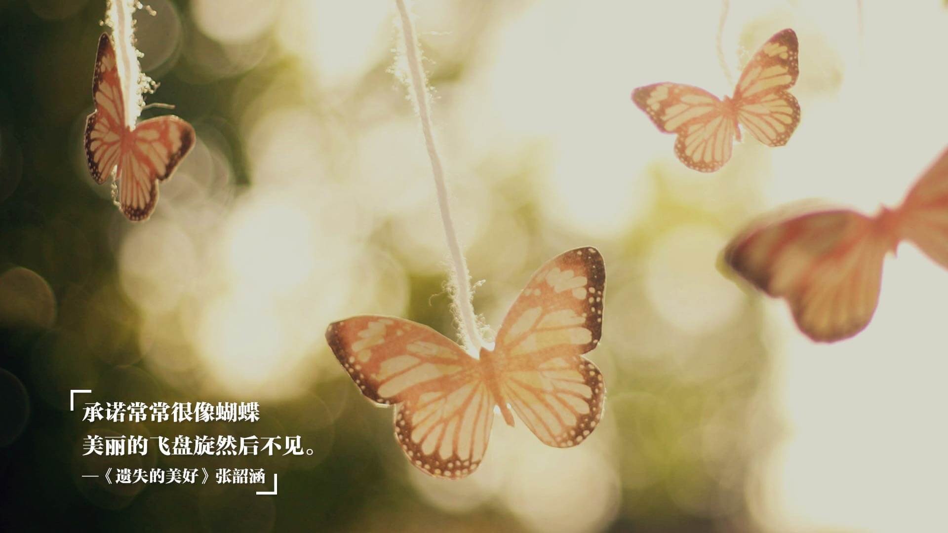 leyu乐鱼体育综合-体育新闻中心上线体育内容跨平台同步发布系统，最新的体育新闻报道在哪看