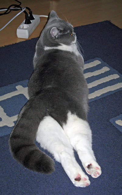 卡昂凭借前场高压掌控比赛节奏,卡昂位置