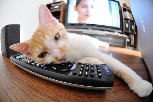 埃及队未来展望:发挥团体优势,迎接更大挑战,埃及球队实力