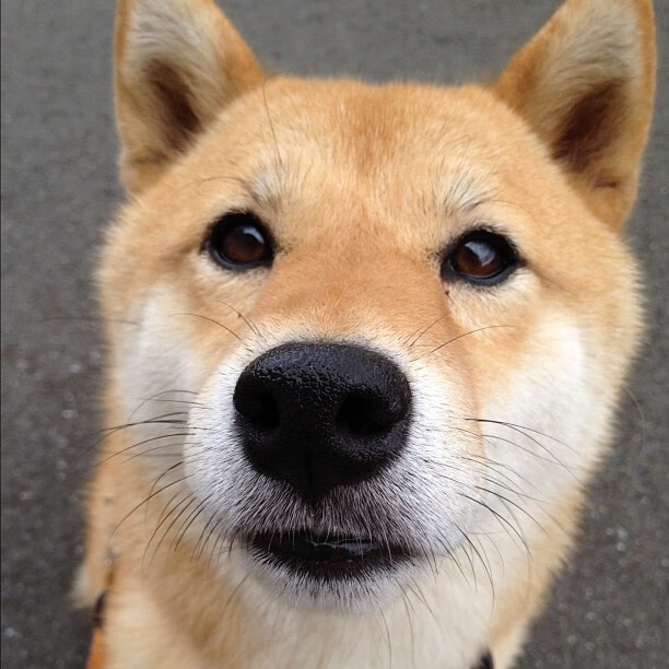 新赛季球队战术调整成效明显,新赛季篮球