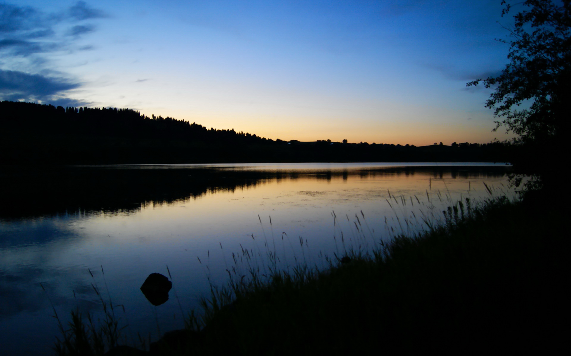 Leyu Sport下载-辽宁飞豹展现强大团队凝聚力冲击总冠军，辽宁飞豹是什么企业