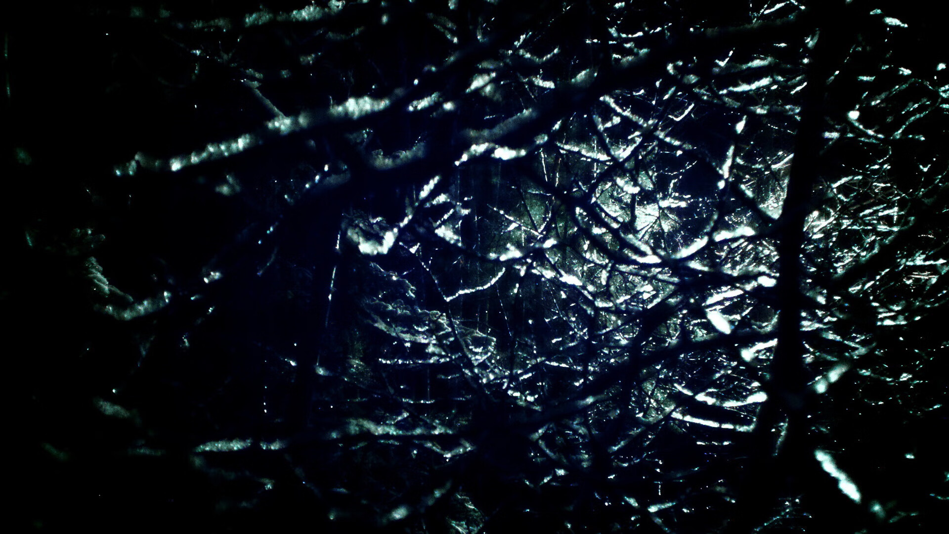 乐鱼体育App下载-C罗关键破门葡萄牙晋级八强，葡萄牙夺冠c罗伤退