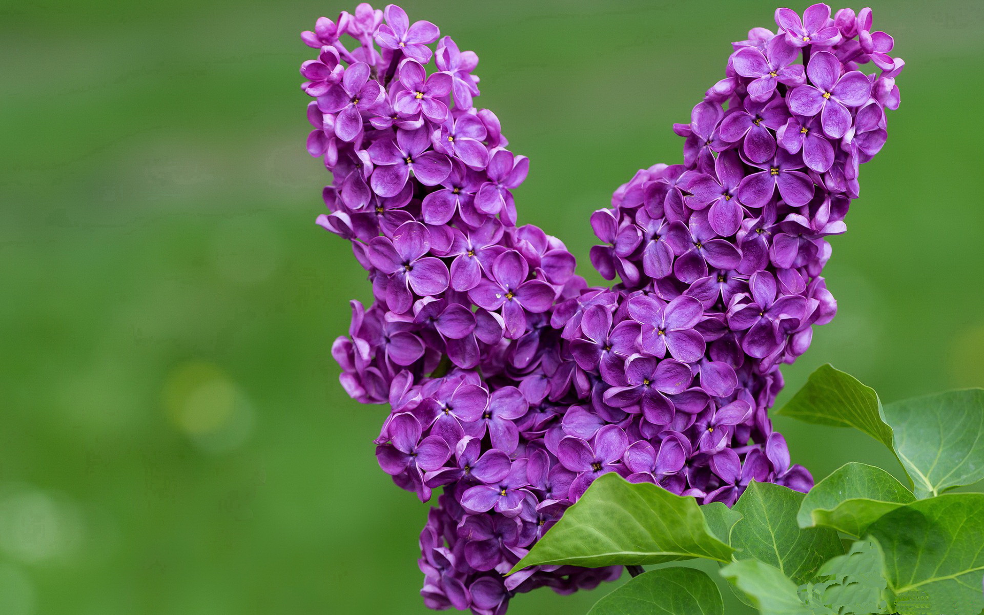 不同年龄段足球训练课程体系逐步完善,定制化发展趋势明显,足球训练多大年纪合适