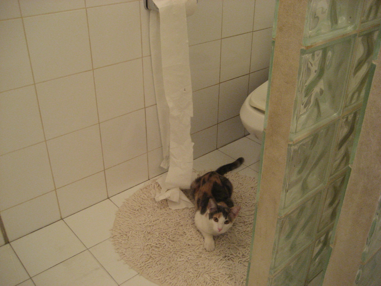 全国篮球技能挑战赛落幕多位新星崭露头角引发关注,全国运动技能测试专家评审委员会篮球