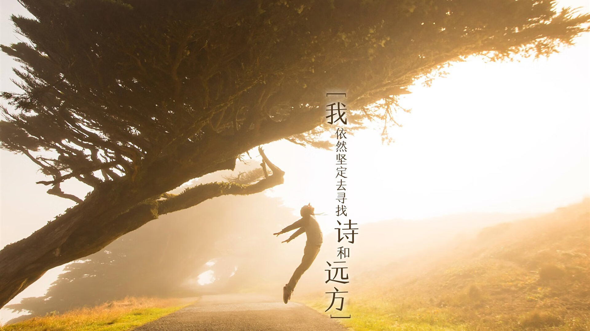 波兰男篮在欧洲锦标赛中表现抢眼,迎来新一轮崛起